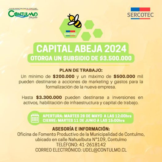 CAPITAL ABEJA 2024 Municipalidad De Contulmo